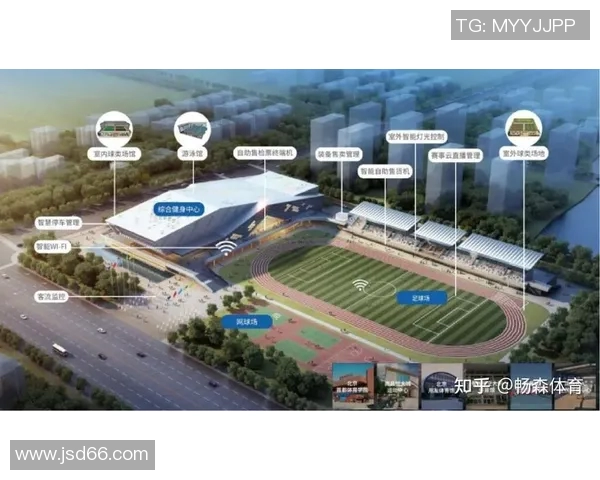 以体育组织发展为核心推动力探讨体育产业创新与可持续发展路径